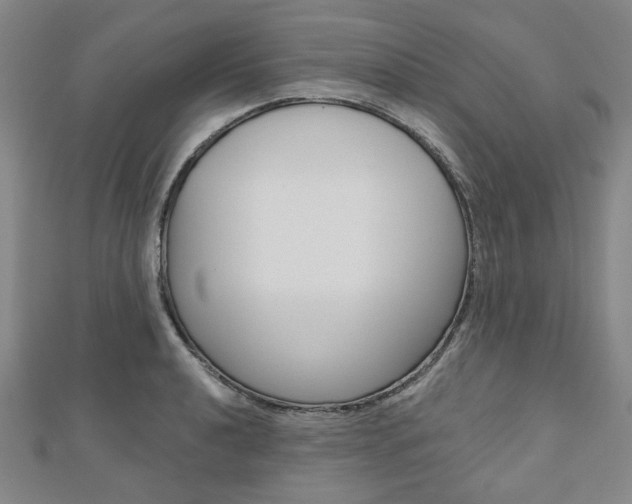 X0000110961040200906191045