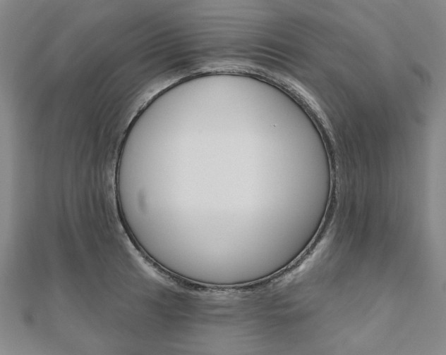 X0000110961041200906191045
