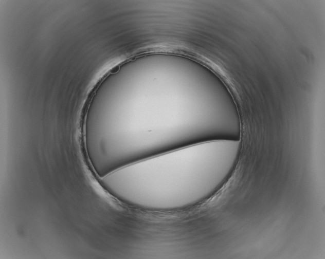 X0000110961042200906191045