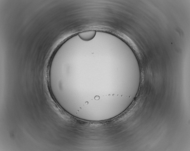 X0000110961043200906191045