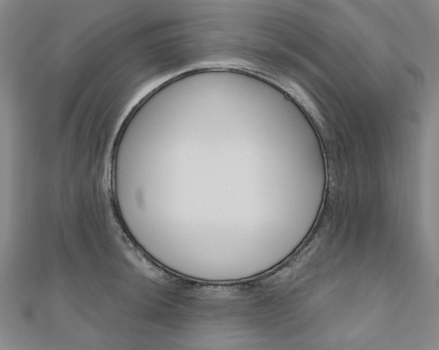 X0000110961044200906191045