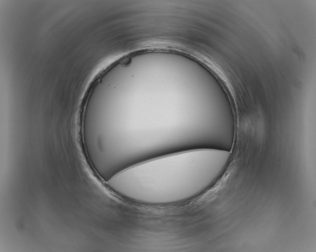 X0000110961045200906191045