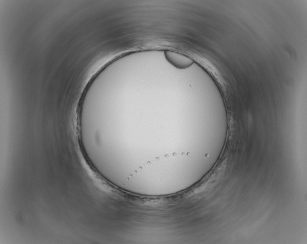 X0000110961047200906191045