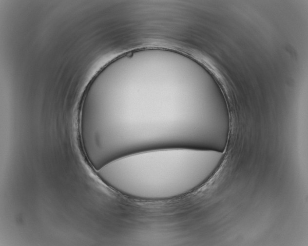 X0000110961048200906191045