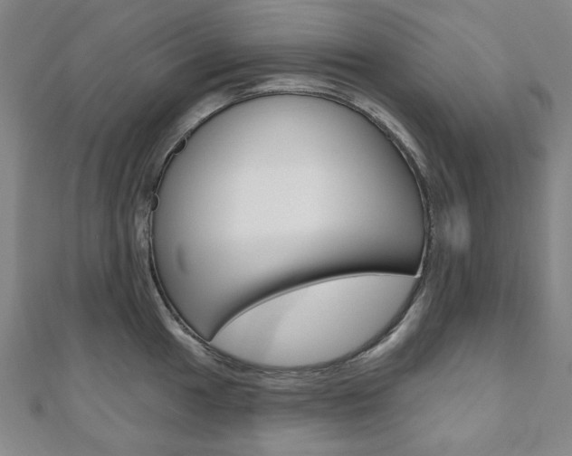X0000110961049200906191045