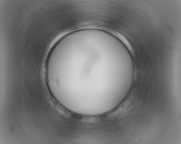 X0000110961051200906191045