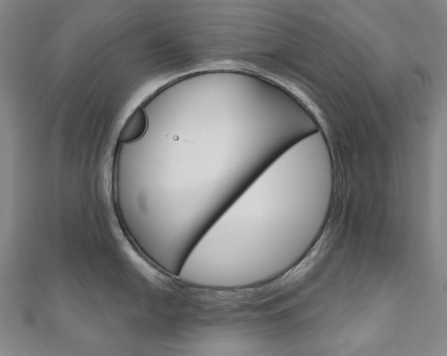X0000110961054200906191046