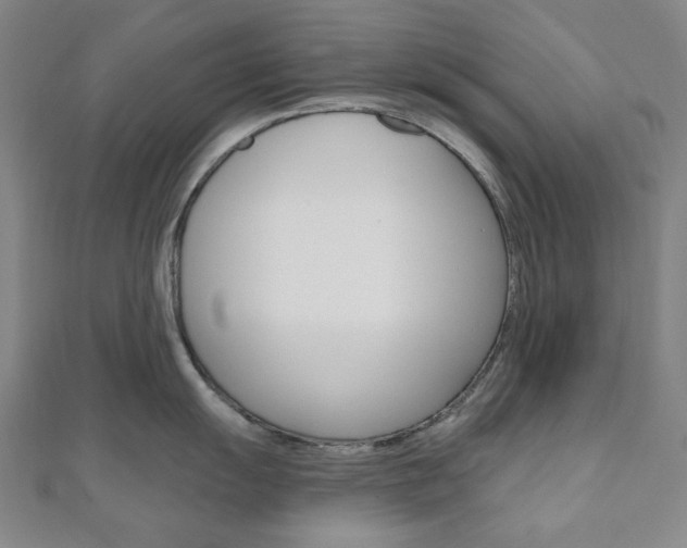 X0000110961055200906191046