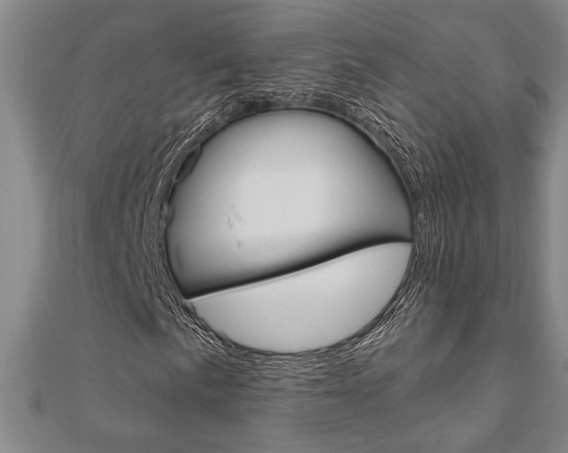 X0000110961057200906191045