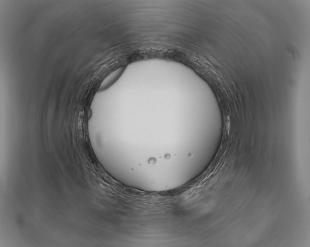 X0000110961059200906191045