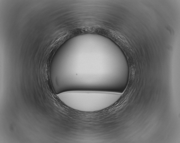 X0000110961060200906191045
