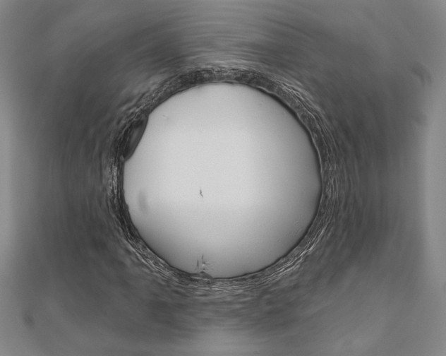 X0000110961061200906191045