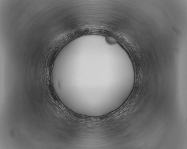 X0000110961062200906191045