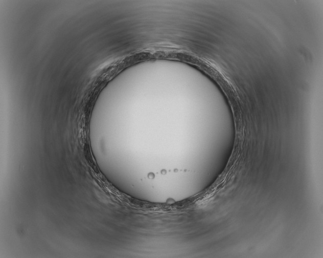 X0000110961063200906191045