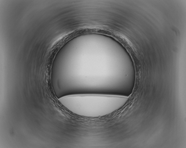 X0000110961064200906191045