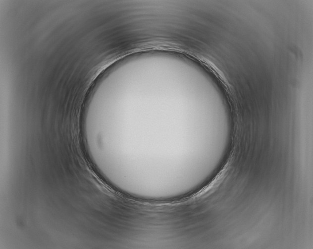 X0000110961065200906191045