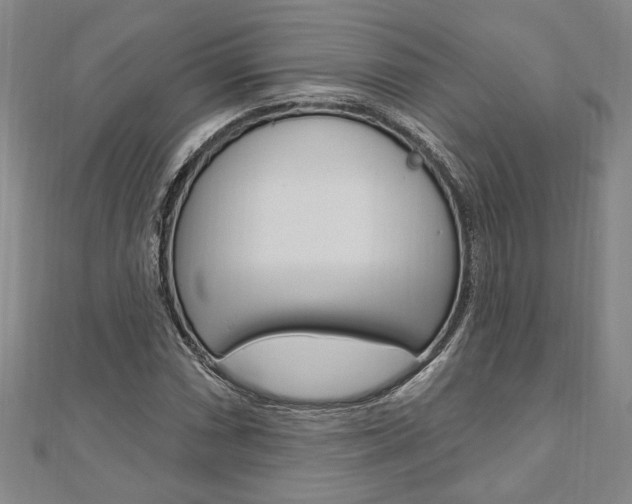 X0000110961066200906191045