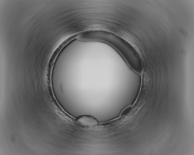 X0000110961068200906191045