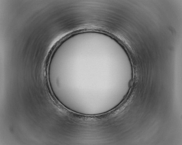 X0000110961070200906191045