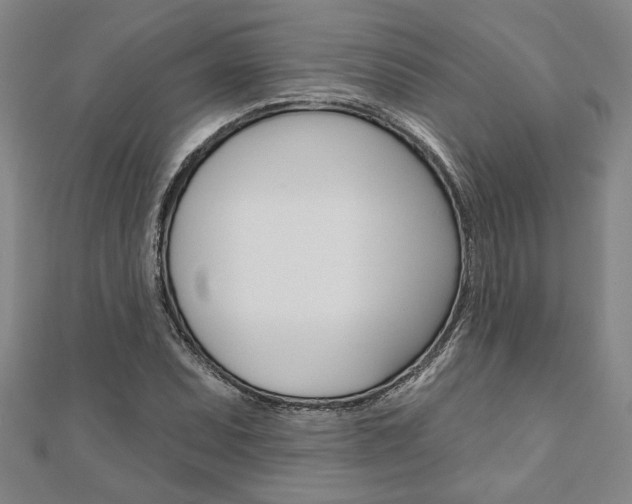 X0000110961071200906191045