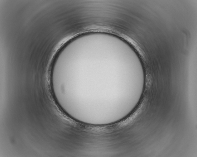 X0000110961074200906191045