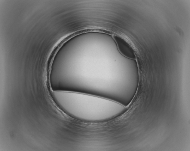 X0000110961076200906191045