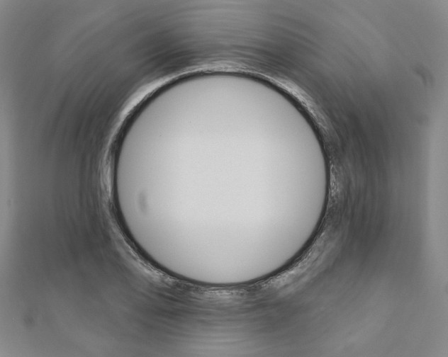 X0000110961078200906191044
