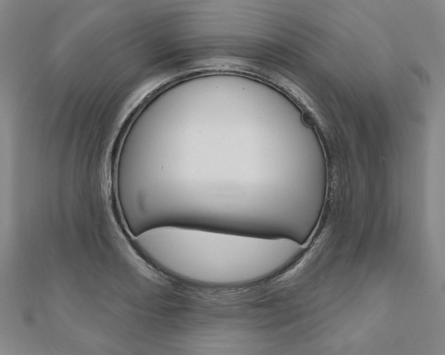 X0000110961082200906191044