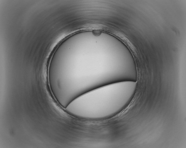 X0000110961083200906191044