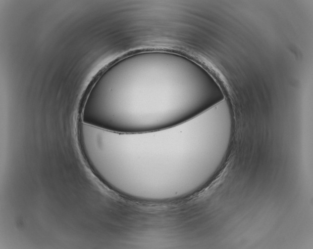 X0000110961085200906191044