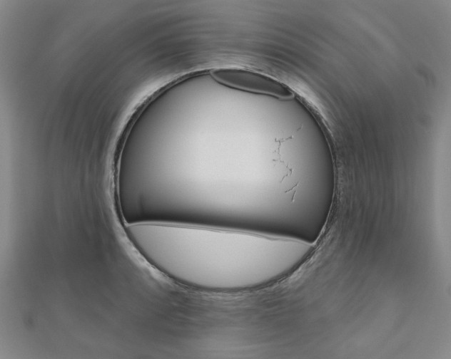X0000110961088200906191044