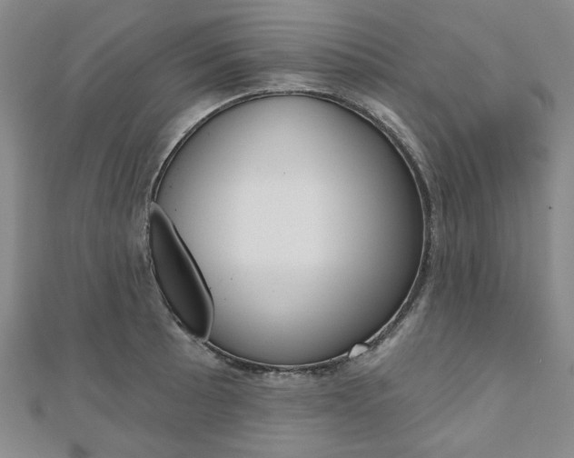 X0000110961089200906191044