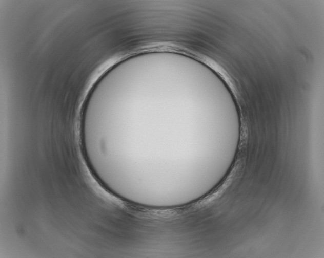 X0000110961090200906191044