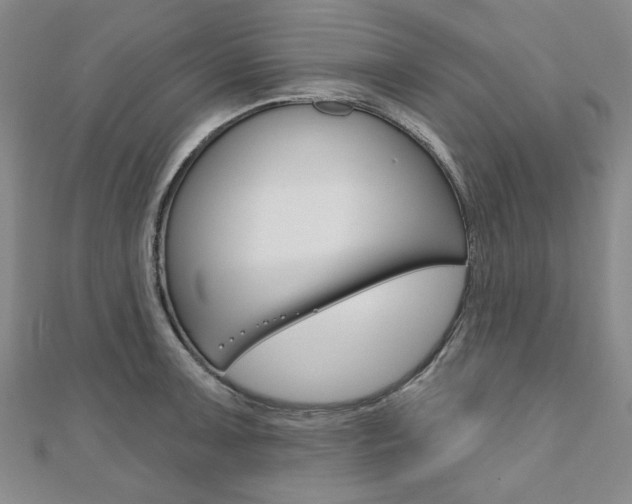 X0000110961091200906191044