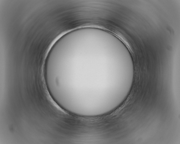 X0000110961092200906191044