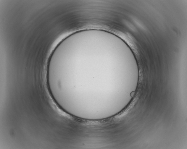 X0000110961094200906191044