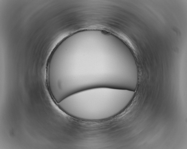 X0000110961095200906191044