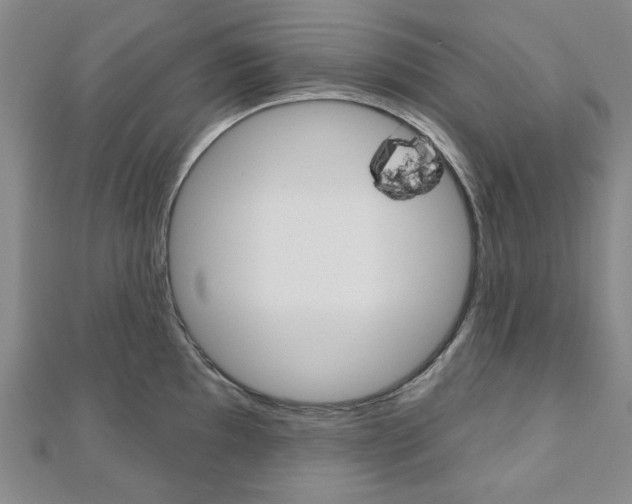 X0000110961097200906191044