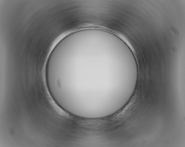 X0000110961098200906191044