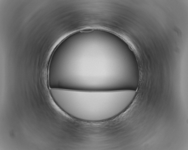 X0000110961100200906191044
