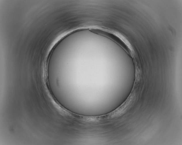 X0000110961101200906191044