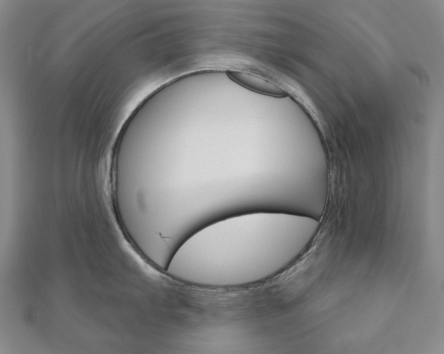 X0000110961103200906191044