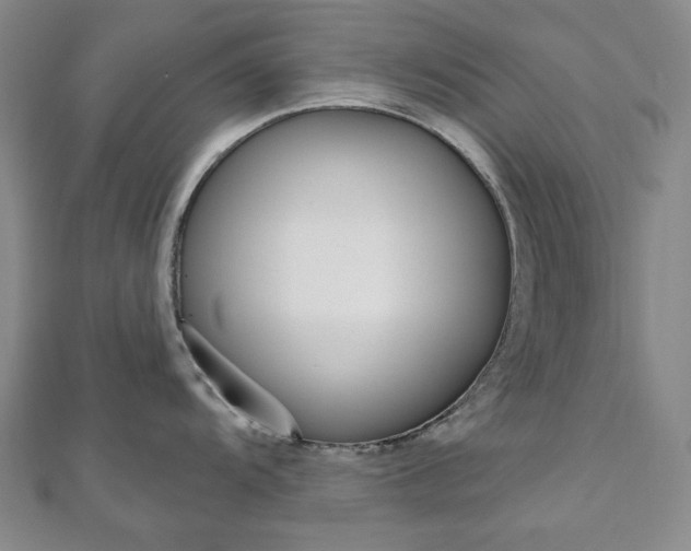 X0000110961104200906191044
