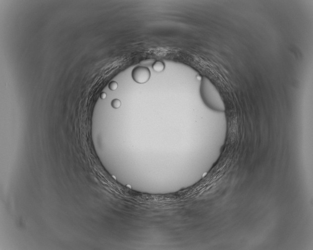 X0000110961105200906191044