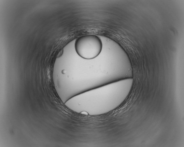 X0000110961106200906191044