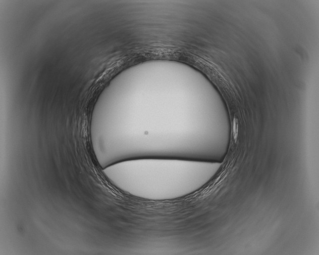 X0000110961107200906191044