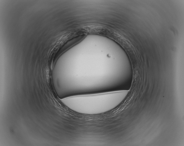 X0000110961108200906191044