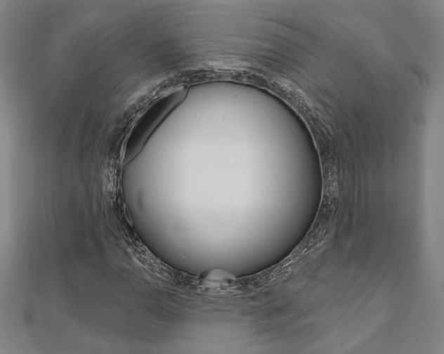 X0000110961110200906191044