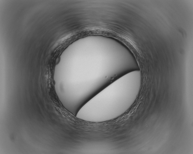X0000110961111200906191044