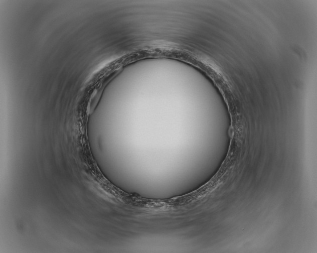 X0000110961112200906191044